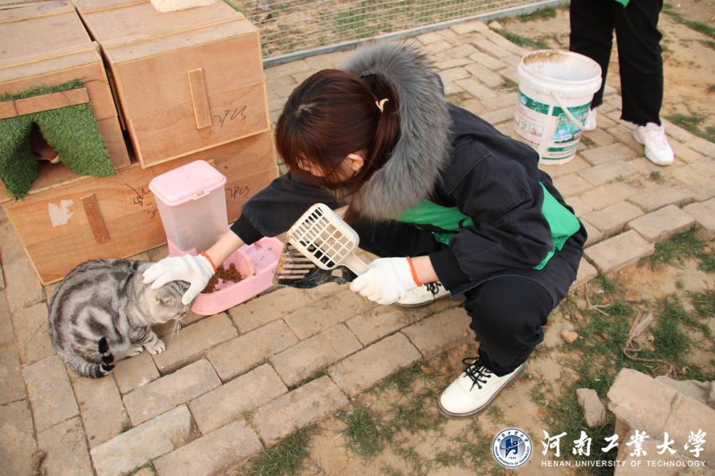 设计艺术学院开展关爱流浪动物守护美好喵星志愿服务活动